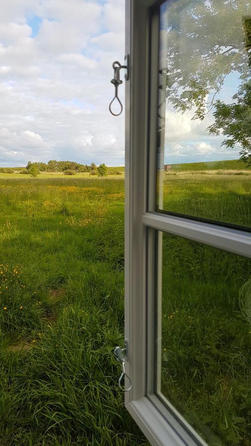 Ferienwohnung Marschkieker - Kleiner Deichhof Hattstedtermarsch Bagian luar foto