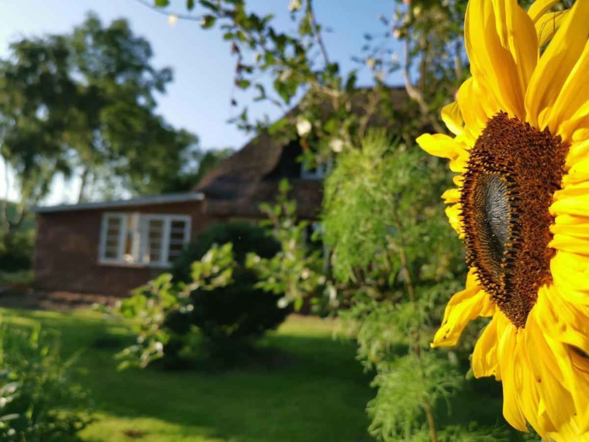 Ferienwohnung Marschkieker - Kleiner Deichhof Hattstedtermarsch Bagian luar foto