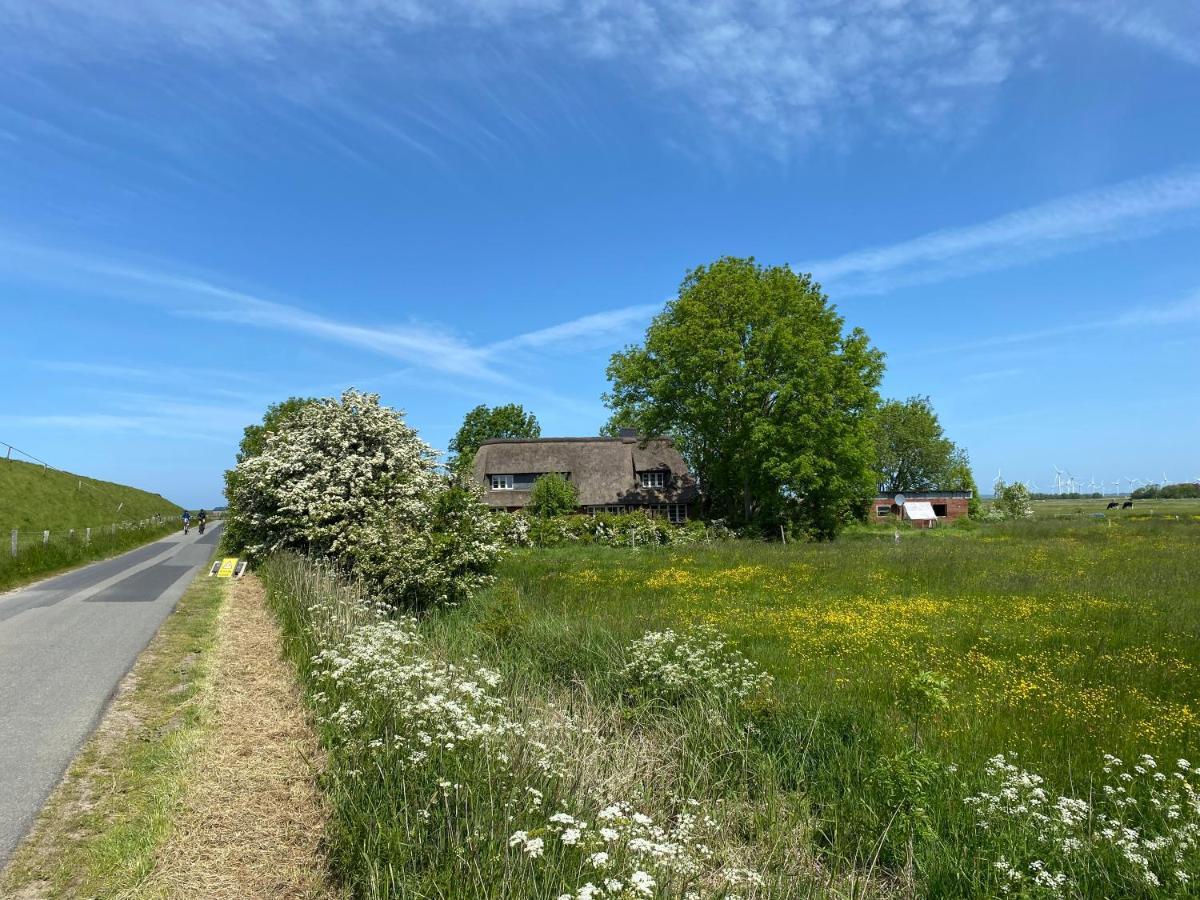 Ferienwohnung Marschkieker - Kleiner Deichhof Hattstedtermarsch Bagian luar foto