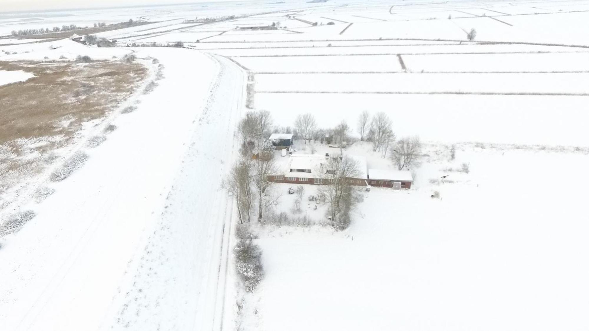 Ferienwohnung Marschkieker - Kleiner Deichhof Hattstedtermarsch Bagian luar foto